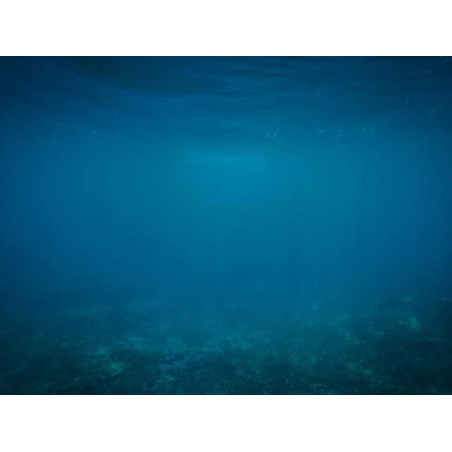 Incredible Wooden Gloves fr-FR